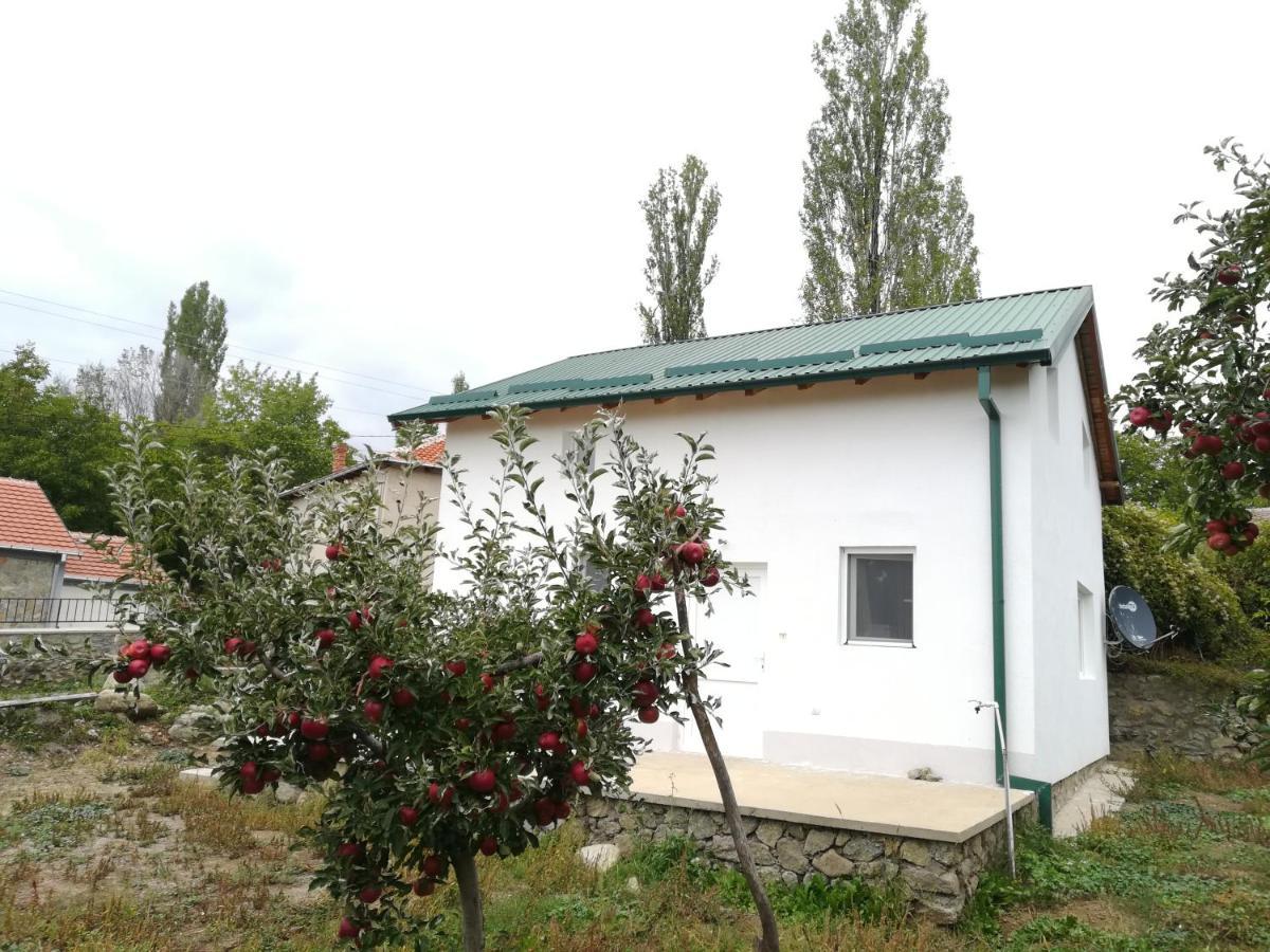 Villa Lila Dolno Dupeni Bagian luar foto