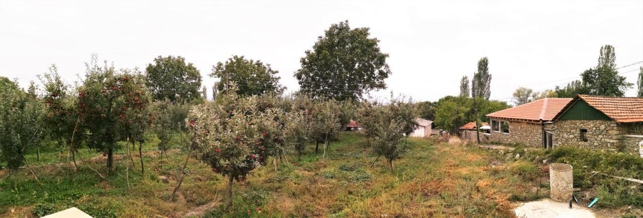 Villa Lila Dolno Dupeni Bagian luar foto